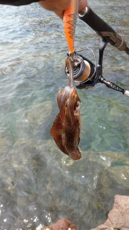 清掃活動からのエキング