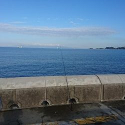 サバのようにサバサバした人になりたい。