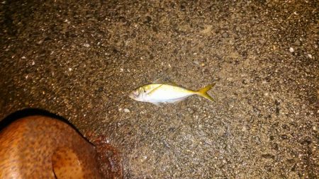 雨中粘ってみたが