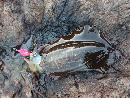 渋いながらもチョイ良型