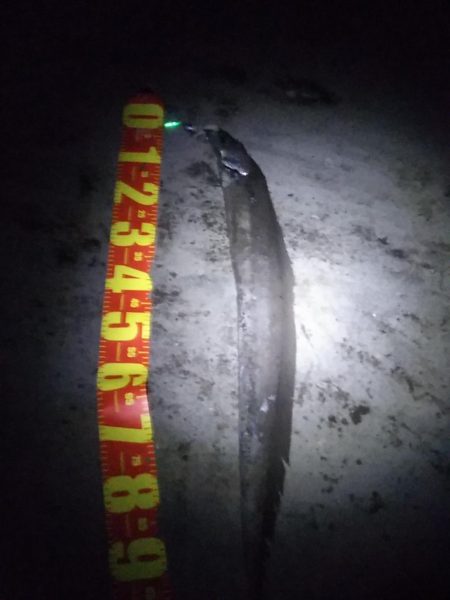 悲しいお知らせですが……