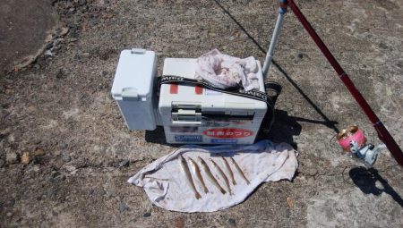 時合いドンピシャの播磨新島釣行