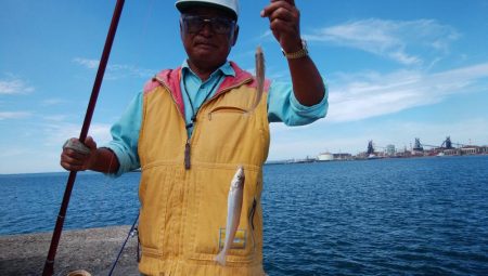 台風通過後2日目にキスが復活した播磨新島