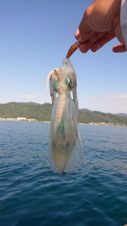 今年は渋いなぁ