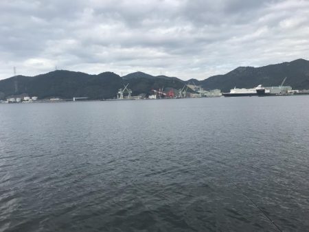 エンピツサヨリ