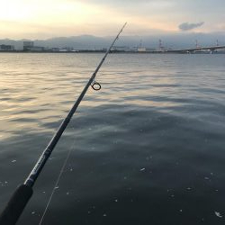 ツバスいい感じ