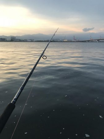 ツバスいい感じ