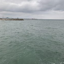 朝マズメ夕マズメ