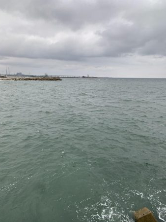 朝マズメ夕マズメ