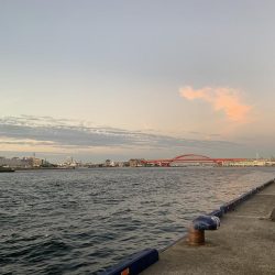 タチウオハマチ狙い