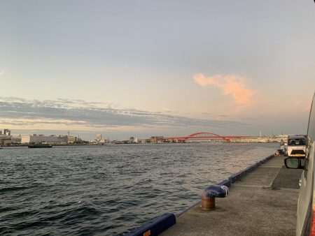 タチウオハマチ狙い