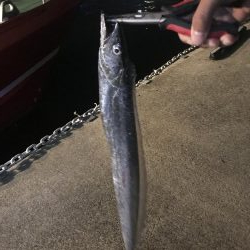 台風後に北公園へ