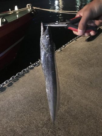 台風後に北公園へ