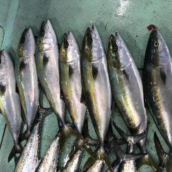 タチウオパターンで爆釣