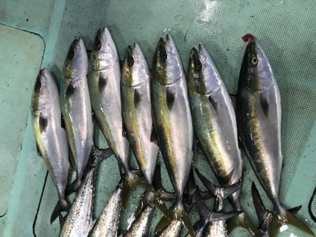 タチウオパターンで爆釣