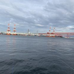 湾奥まだタチウオは…