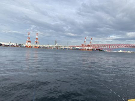 湾奥まだタチウオは…