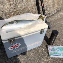 ショアジギング