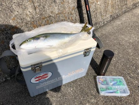 ショアジギング