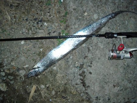 ｻｰﾍﾞﾘﾝｸﾞ