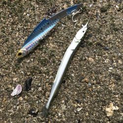 トップキターーーッ！！！