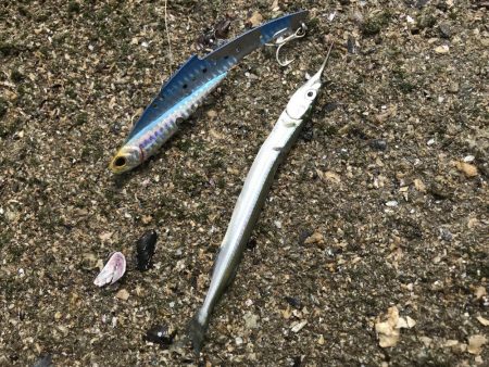 トップキターーーッ！！！