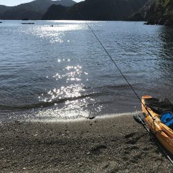 カヤックエギング