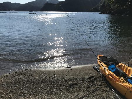 カヤックエギング