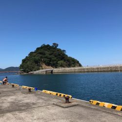 今季初カワハギ