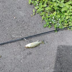 ちょっと寄り道