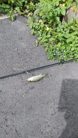 ちょっと寄り道