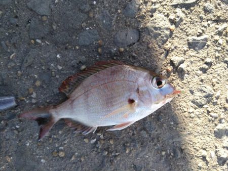 癒やされた休日