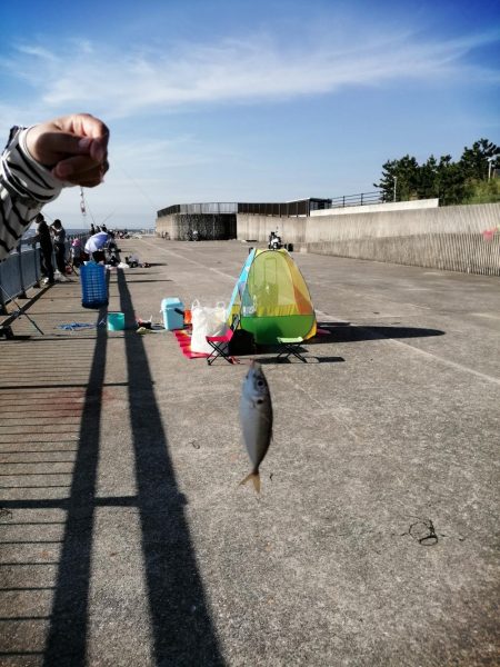 ファミリーフィッシング