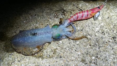 7時間で3杯とか・・・