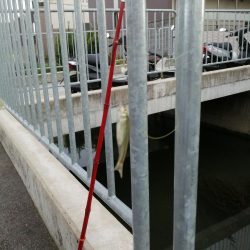 仕事の合間に❗