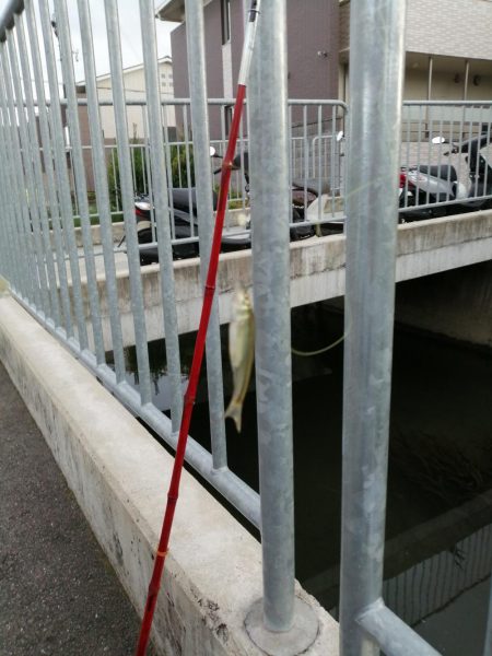 仕事の合間に❗