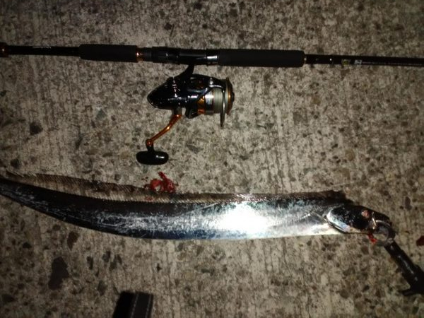 ショアタチシーズン到来