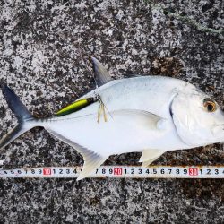 ジャックアイグロッキーでロウニンアジ