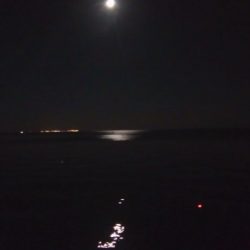 連休2日目のタチウオ