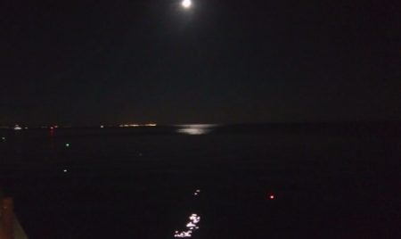 連休2日目のタチウオ