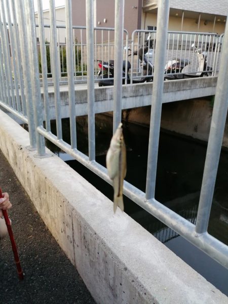 仕事の合間に❗