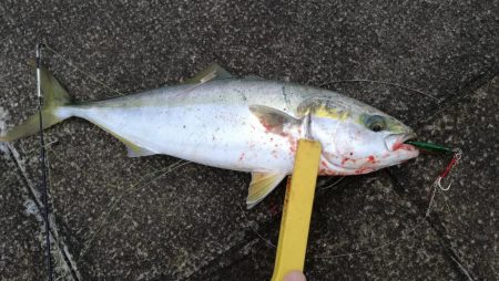 今シーズン初‼️…