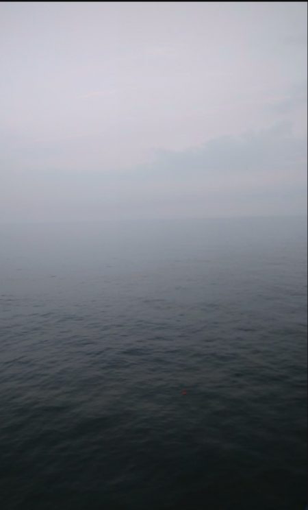 今年はタチウオ遅い