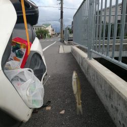 お休みなので❗