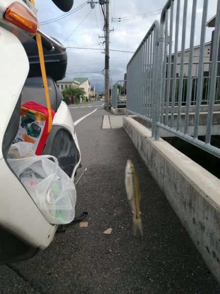 お休みなので❗