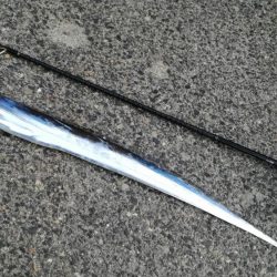 指4本半！量型タチウオGET！