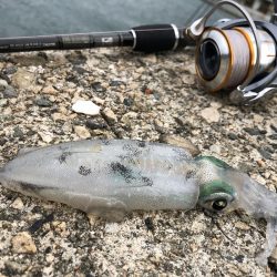 仕事のついでに