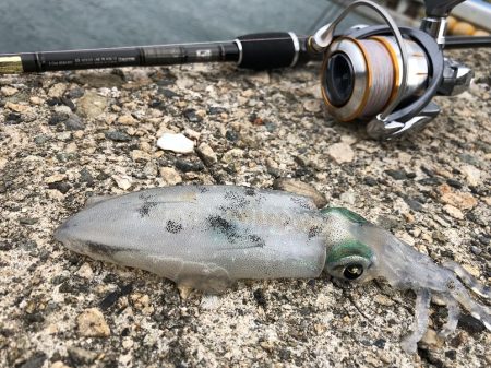 仕事のついでに