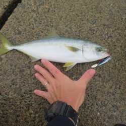 人生初の青物ゲット!