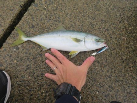 人生初の青物ゲット!